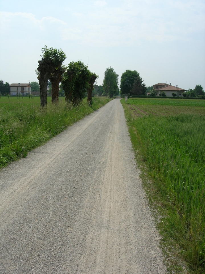 Strada di campagna di rubis