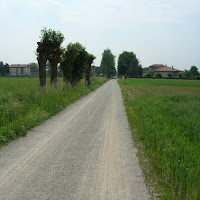 Strada di campagna di 