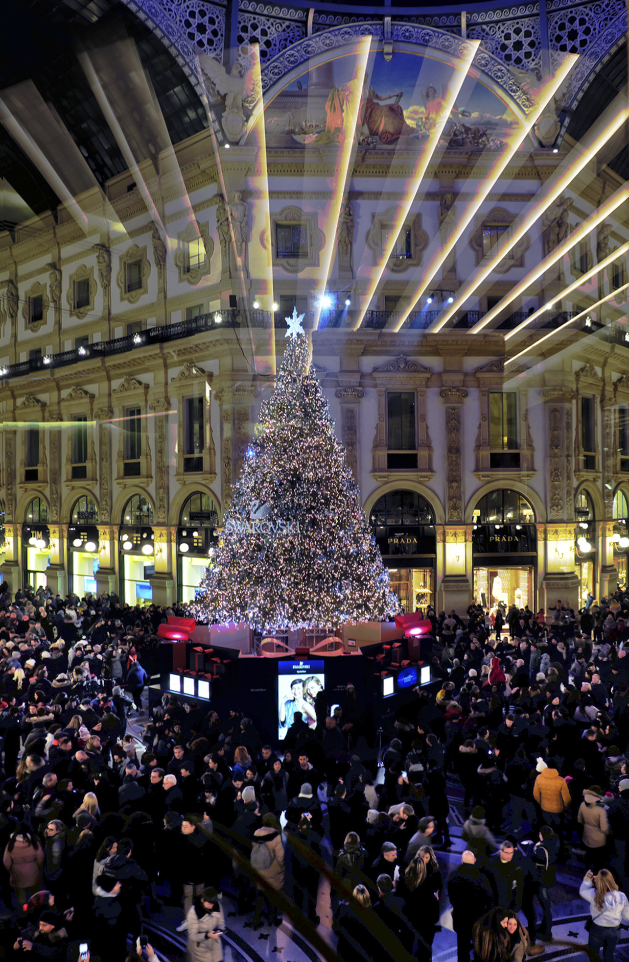 Tutti intorno all'albero Swarovski di Rossella13