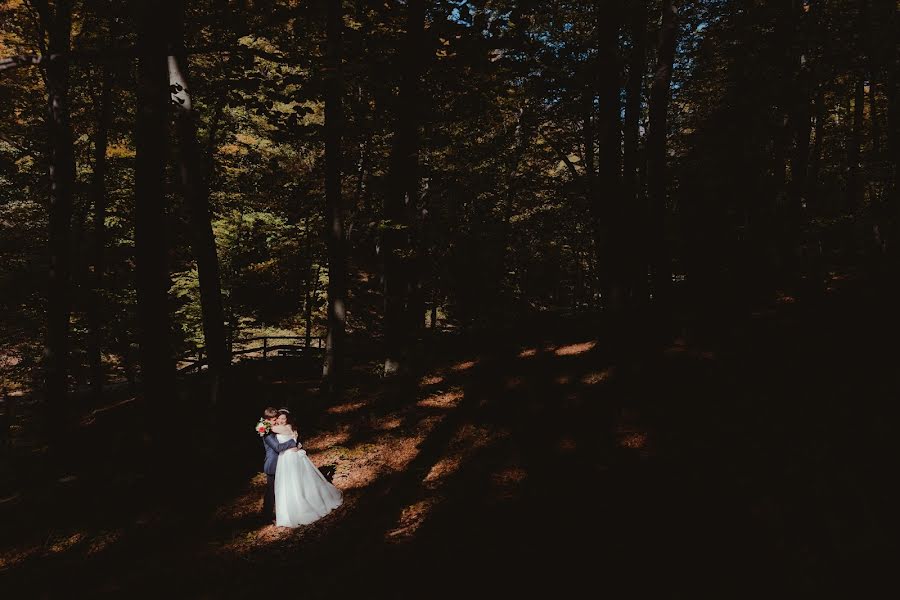 Vestuvių fotografas Vedran Tolić (tolic). Nuotrauka 2019 sausio 8