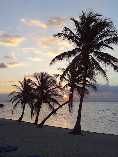 2015 - Little Cayman