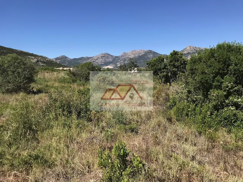 Vente terrain  5000 m² à Calvi (20260), 324 000 €