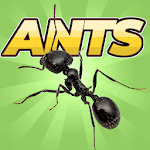 Cover Image of Download Pocket Ants: Colony Simulator 0.0538 APK