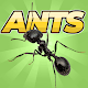 Pocket Ants: Colony Simulator Download on Windows