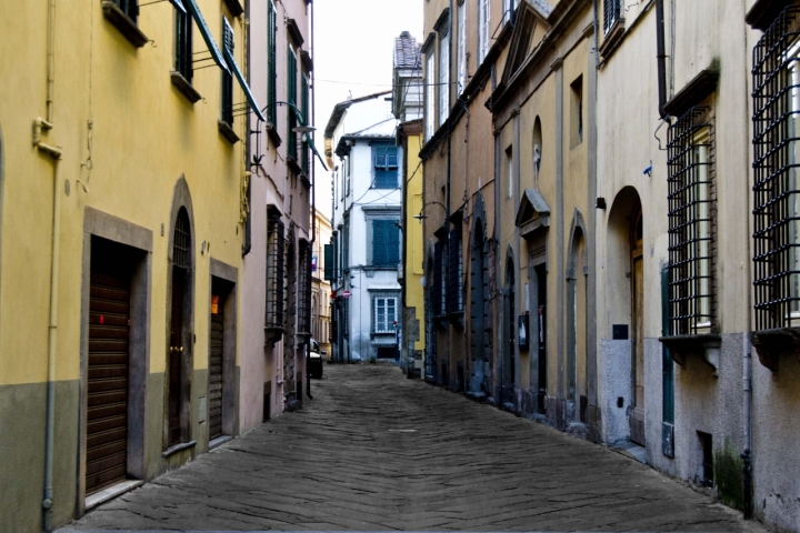 Lucca il pavè di gabibbo