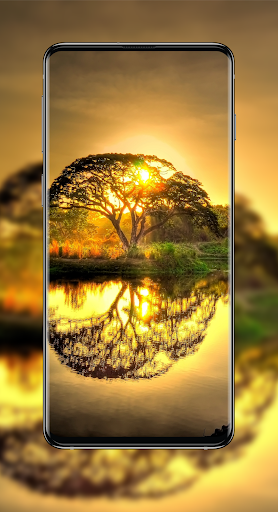 WallMe  4K Wallpaper - HD Wallpapers Free App