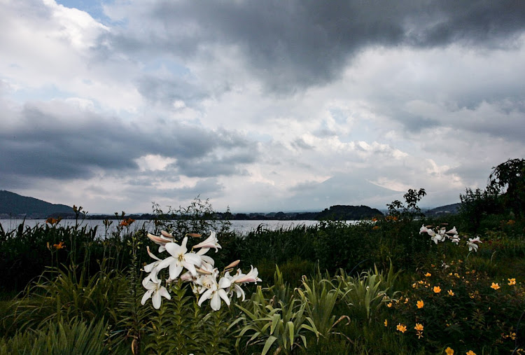 メン👣👟さんが投稿した富士山・山開き・河口湖 大石公園・花・７月もよろしくお願いいたしますに関するカスタム事例の投稿画像7枚目