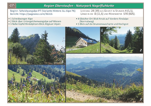 Allgäu Rundtour Nagelfluhkette Gunzesried Scheidwanger Alpe Blick über Untergelchenwangalpe Rindalphorn Vordere Rindalpe Brunnenauscharte Hochgrat