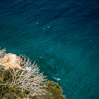 VISTA DEL PELLEGRINO di 