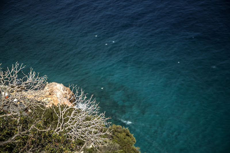 VISTA DEL PELLEGRINO di mamyClara