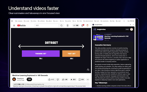 InsightVideo – AI YouTube Summaries screenshot 3