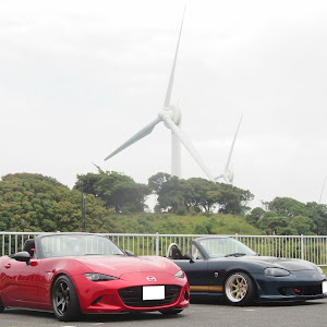 ロードスター NB8C