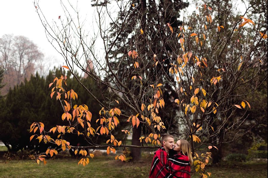 Fotógrafo de bodas Aleksandr Tegza (sanyof). Foto del 10 de noviembre 2015