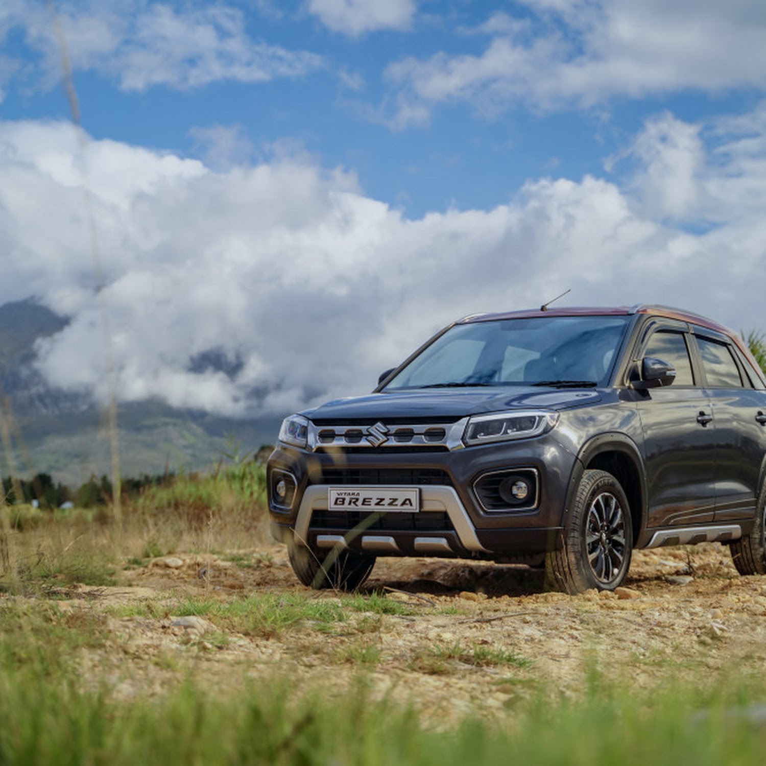 Vitara Brezza Sex Sex - Six things to know about the 2021 Suzuki Vitara Brezza