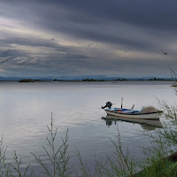 Silver lagoon di 