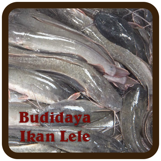  Download Gambar Animasi Ikan Lele  Moa Gambar 