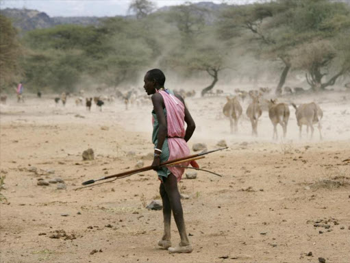 A Maasai herdsman with his livestock during a severe drought in Kenya.