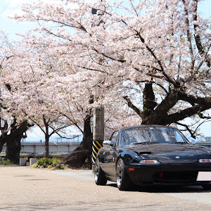 ロードスター NA8C