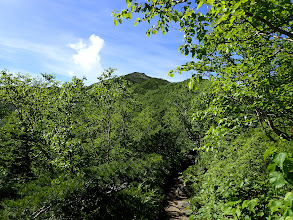 前方に将棊頭山