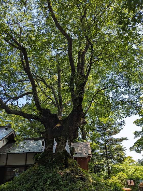 の投稿画像17枚目