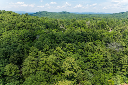 Lush forest and green hills - Buy this luxury property in Hendersonville