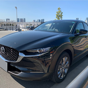 CX-30 DM8P