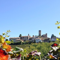 Nelle Langhe di 