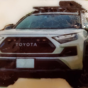 RAV4 AXAH54
