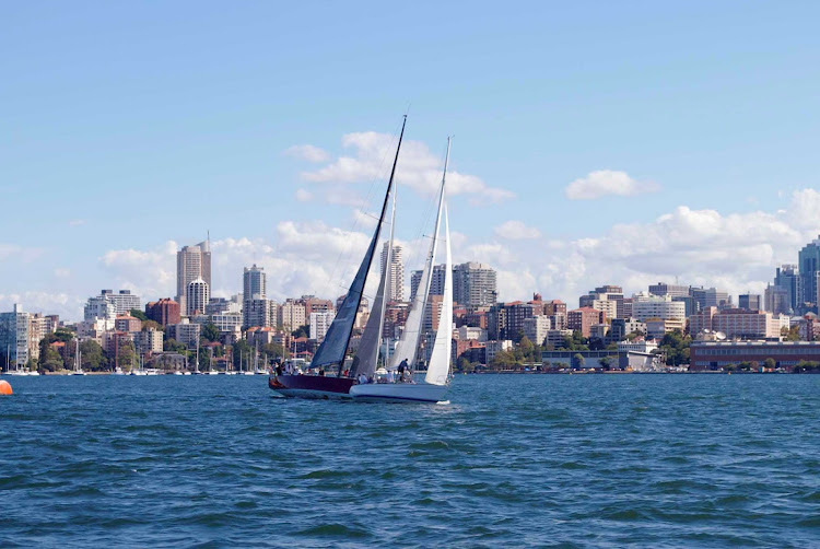 A sailboat wafts in Sydney Harbour against the city skyline. 