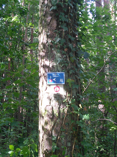 Efeu Beranktes Wanderschild