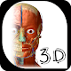 Anatomy and human physiology 3D Download on Windows