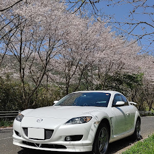 RX-8