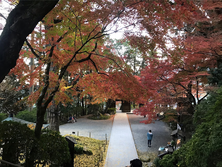 スカイラインクーペの福岡・佐賀・大興善寺・鳥栖プレミアムアウトレット・紅葉に関するカスタム事例の投稿画像3枚目