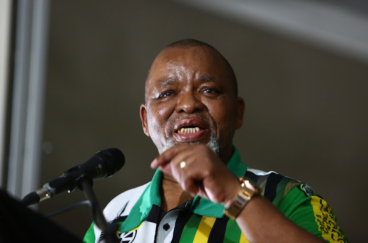 ANC national chairperson Gwede Mantashe addressing delegates during the ANC Free Sate provincial elective conference held at the Imvelo Safari Lodge, Bloemfontein.