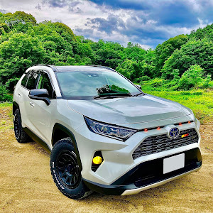 RAV4 AXAH54