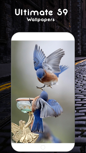 Wallpapers 4K - Galaxy S11 -  Mate 30 Pro