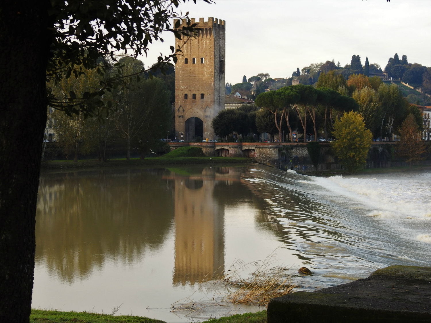 Riflessi sull'Arno di maribelli