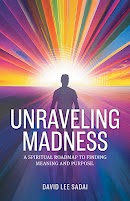 Unraveling Madness cover