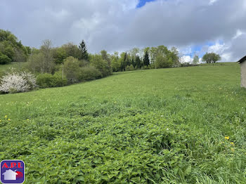 terrain à Roquefeuil (11)