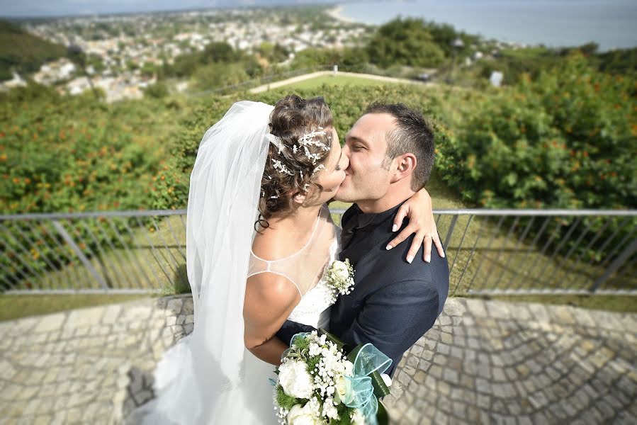 Fotografo di matrimoni Alessandro Palmiero (palmiero). Foto del 2 gennaio 2016