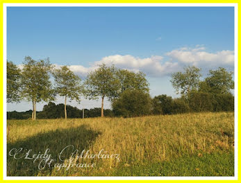 terrain à Castelnau d'Auzan Labarrère (32)