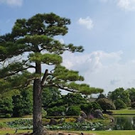 松柏軒景觀餐廳