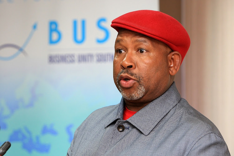 Jabu Mabuza's appointment evidence of transformation of SOEs‚ says BLSA.