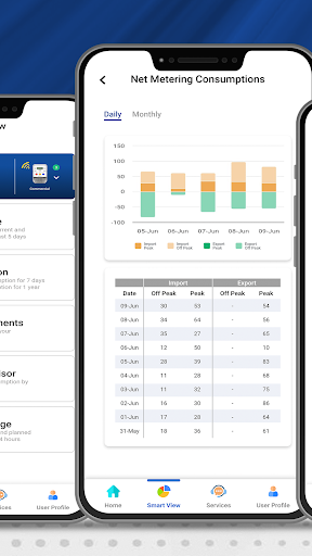 Screenshot MEPCO SMART