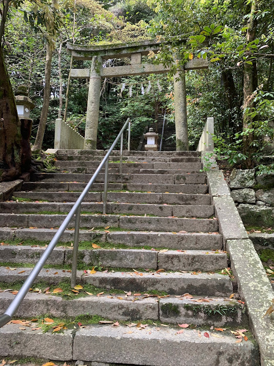 Nボックス+カスタムの神社へお詣り・いつもイイネ&コメントありがとうございます🙇‍♂️・今朝もセブンでルーティンコーヒーに関するカスタム事例の投稿画像4枚目