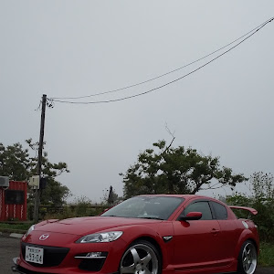 RX-8