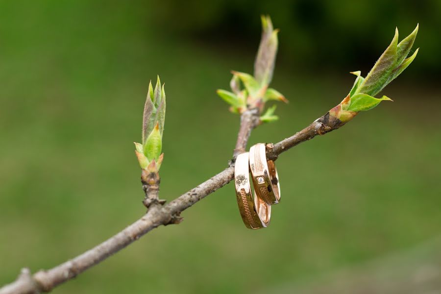 Fotografo di matrimoni Olga Semenova (olivia1). Foto del 2 maggio 2018