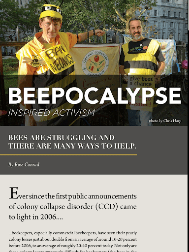 Bee Culture