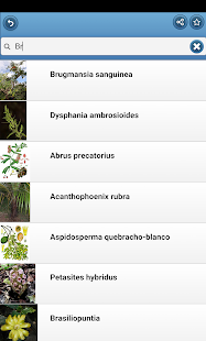   Medicinal herbs- screenshot thumbnail   