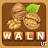 Walnut - word guessing game icon